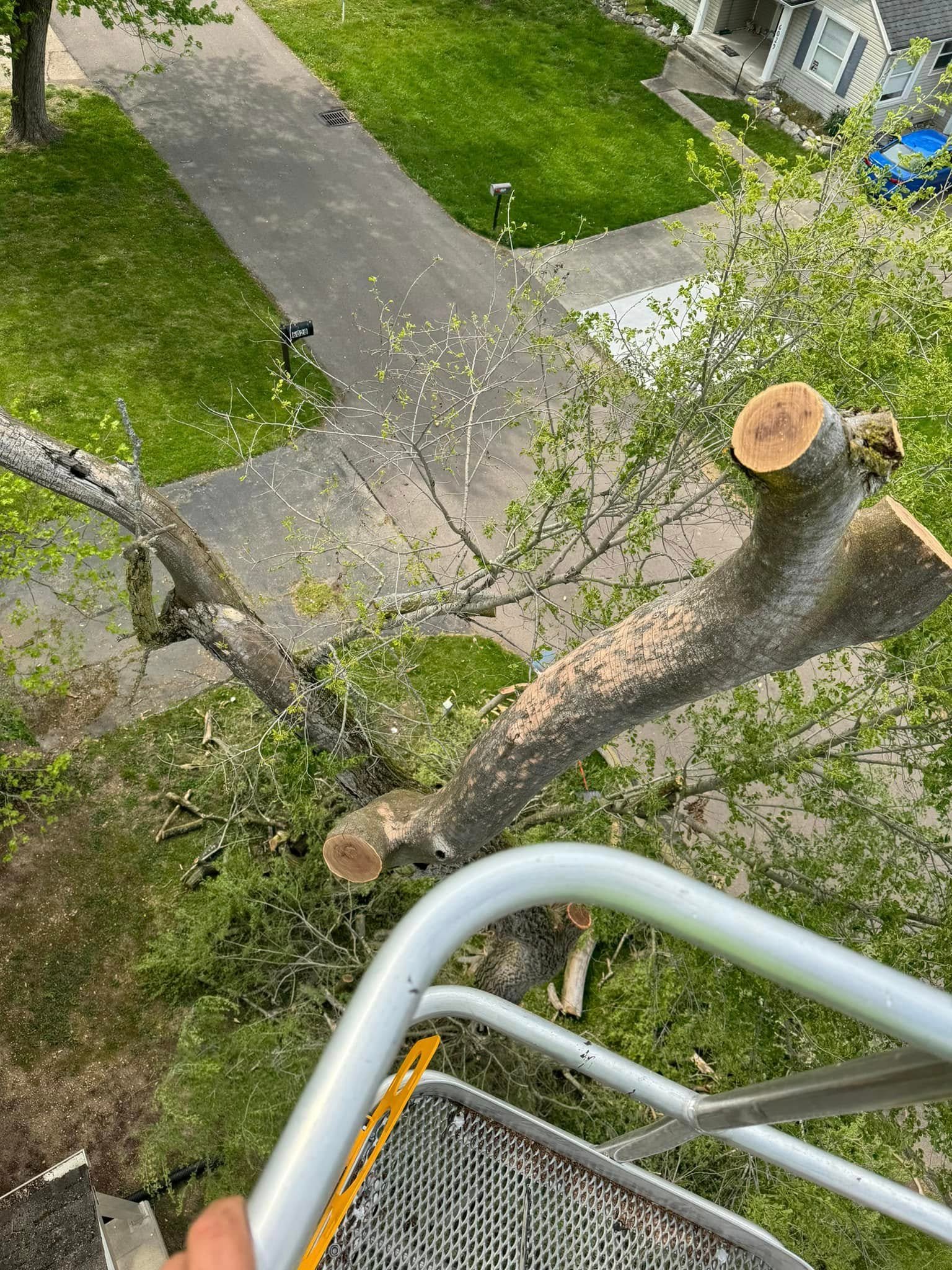 Gibson Tree Service equipment working on a property clearing project